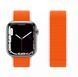 Ремінець для Apple Watch Nylon Pollen